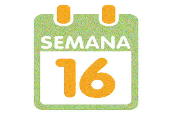 Semana 16