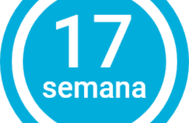 Semana 17