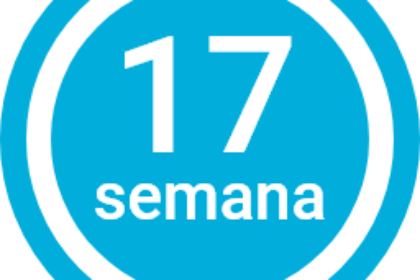 Semana 17