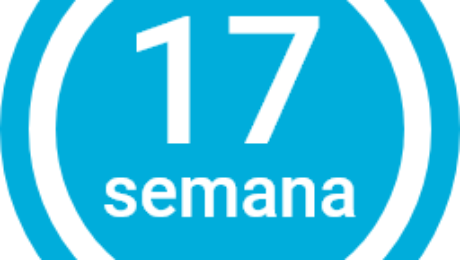 Semana 17