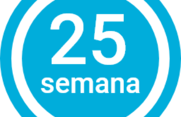 Semana 25