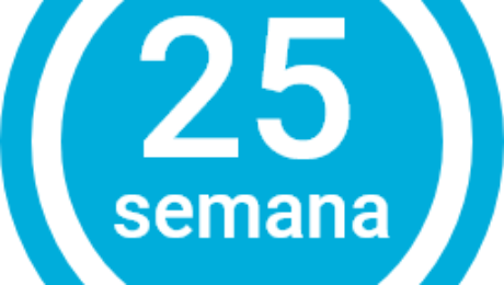 Semana 25