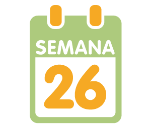 semana 26